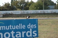 Cliquez sur l'image pour voir les photos de cette sortie